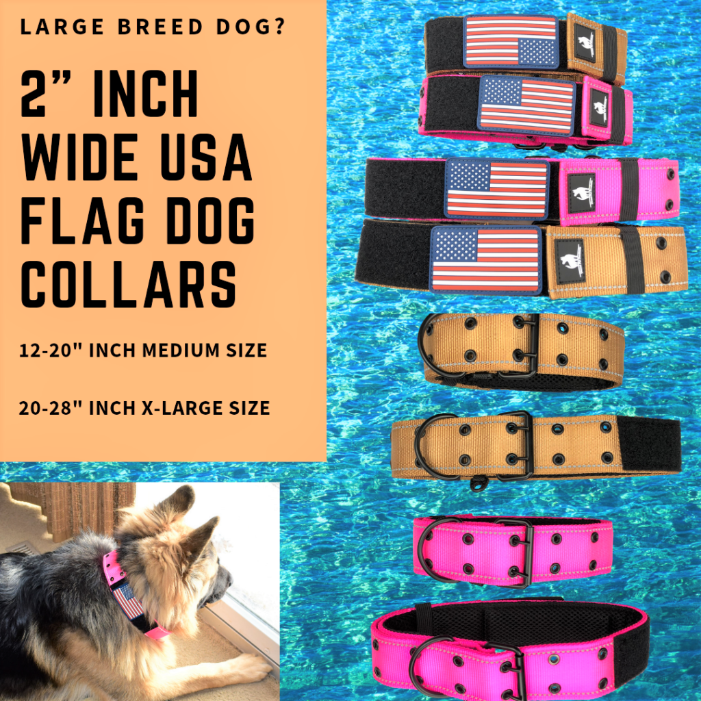 large breed puppy collars